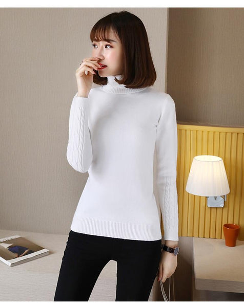 Women's Autumn Winter Warm Knitted Tricot Turtleneck Pullover Sweaters - SolaceConnect.com
