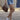 Women's Streetwear Cotton Ripped Skinny High Waist Jean Shorts  -  GeraldBlack.com